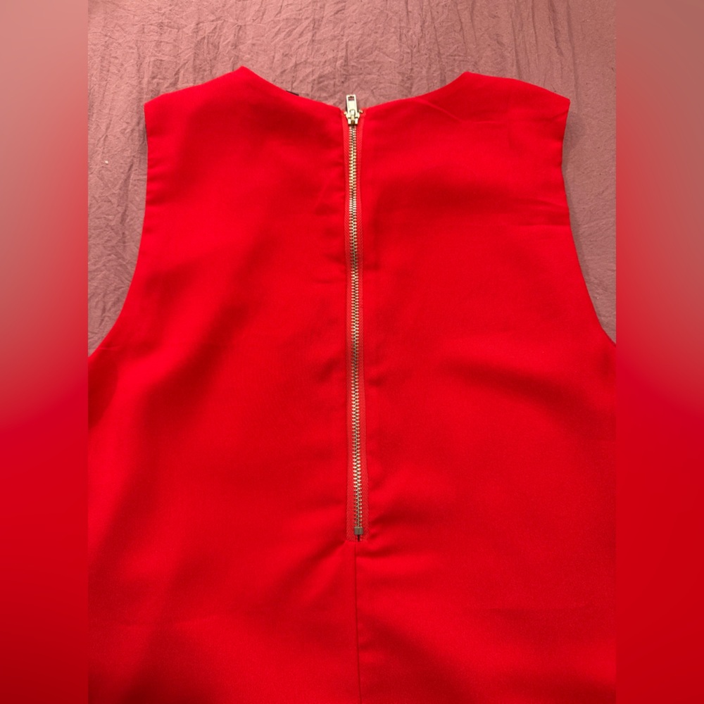 Red Dress - Picture 4 of 6